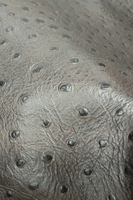 Ostrich-embossed